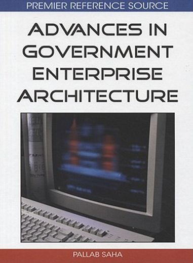 advances in government enterprise architecture