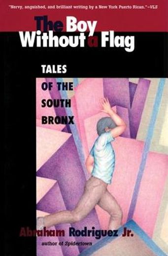 boy without a flag,tales of the south bronx