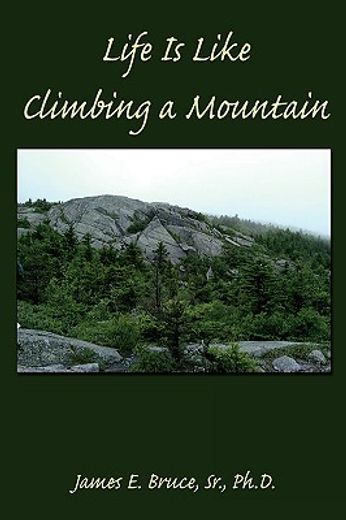 life is like climbing a mountain
