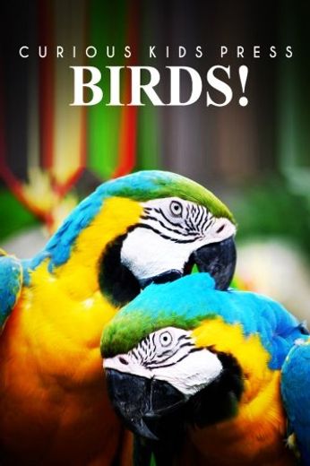 Birds! - Curious Kids Pess: (Picture Book, Children's Book About Animals, Animal Books for Kids 5-7) (en Inglés)
