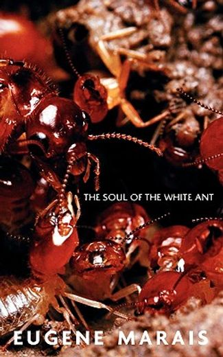 the soul of the white ant
