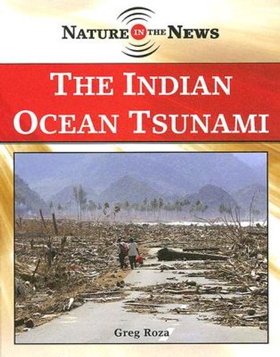 the indian ocean tsunami
