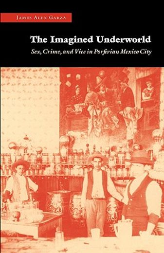 the imagined underworld,sex, crime, and vice in porfirian mexico city