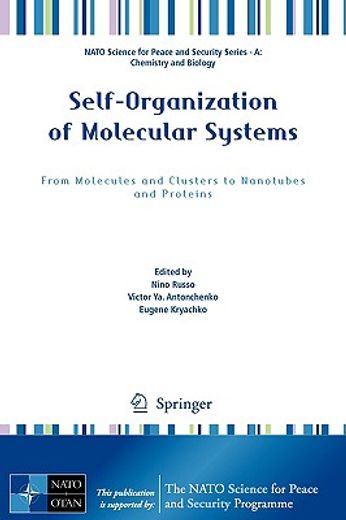 self-organization of molecular systems,from molecules and clusters to nanotubes and proteins
