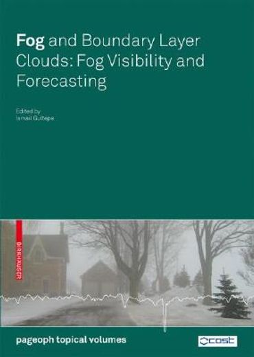 fog and boundary layer clouds,fog visibility and forecasting