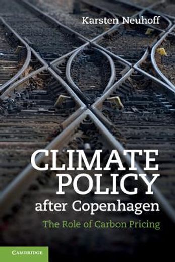 climate policy after copenhagen,the role of carbon pricing