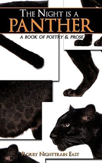 the night is a panther,a book of poetry & prose