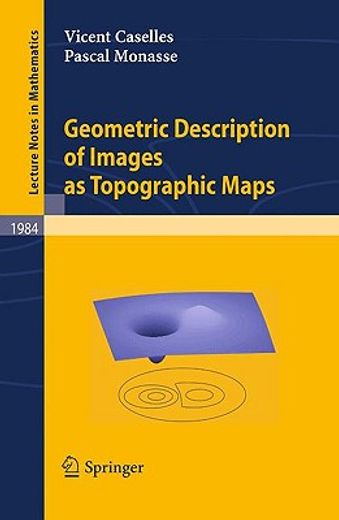 geometric description of images as topographic maps