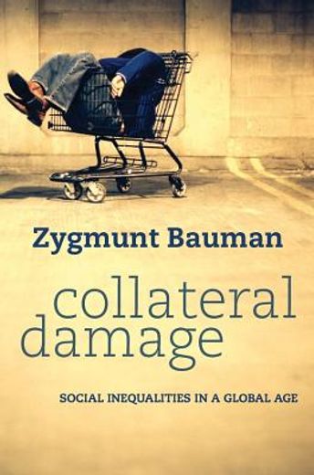 collateral damage,social inequalities in a global age