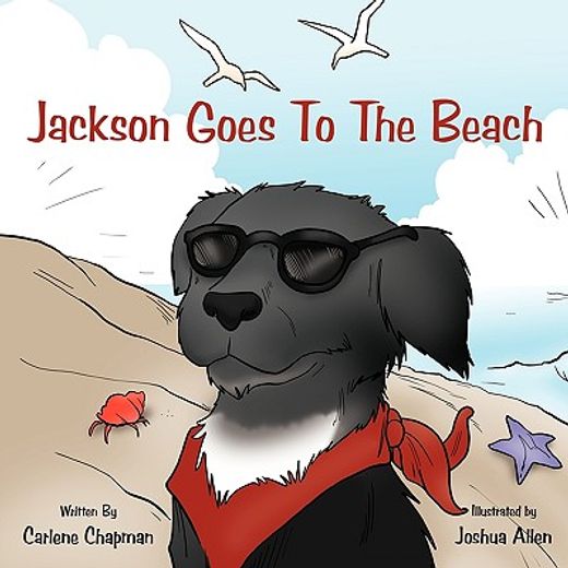 jackson goes to the beach