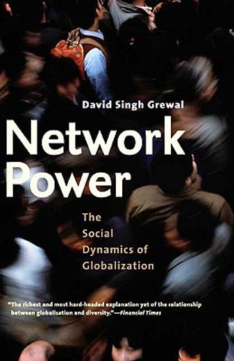 network power,the social dynamics of globalization