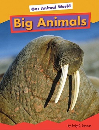 big animals