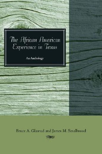 the african american experience in texas,an anthology