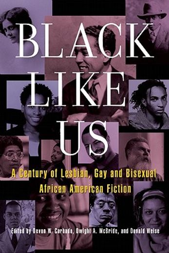 black like us,a century of lesbian, gay, and bisexual african american fiction