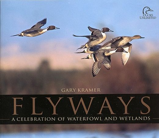 flyways,a celebration of waterfowl and wetlands