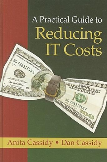 A Practical Guide to Reducing IT Costs (en Inglés)