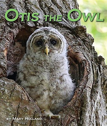 Otis the Owl (en Inglés)