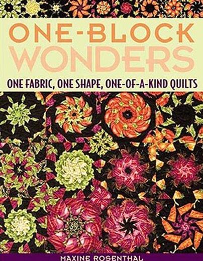 one-block wonders,one fabric, one shape, one-of-a-kind quilts