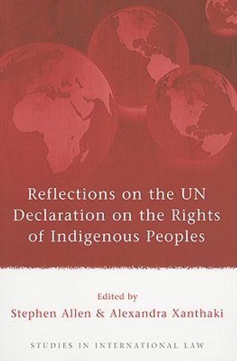 reflections on the un declaration on the rights of indigenous peoples