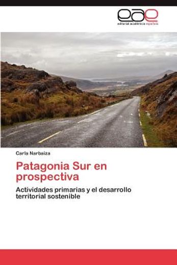 patagonia sur en prospectiva