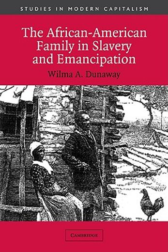 The African-American Family in Slavery and Emancipation (Studies in Modern Capitalism) (en Inglés)