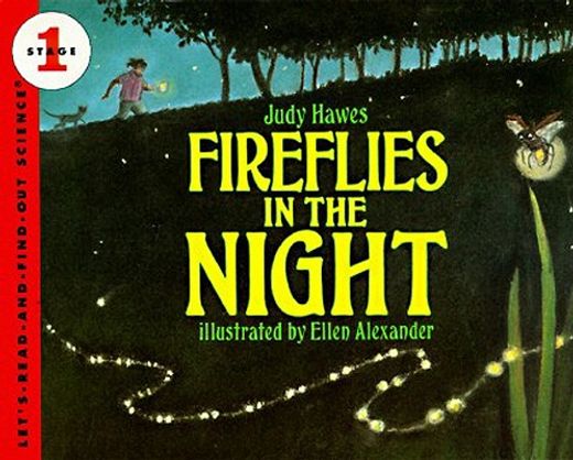 fireflies in the night (in English)