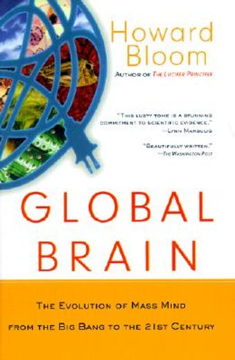 global brain,the evolution of mass mind from the big bang to the 21st century (in English)