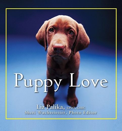 puppy love (in English)
