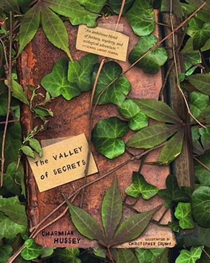 the valley of secrets (en Inglés)