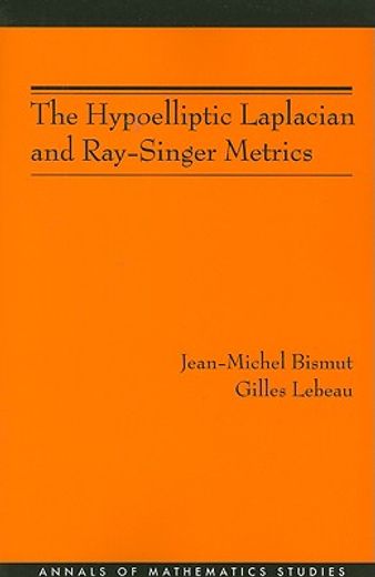 the hypoelliptic laplacian and ray-singer metrics