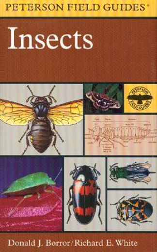 a field guide to insects,america north of mexico