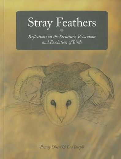 stray feathers