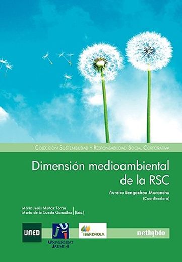 dimension medioambiental de la rsc