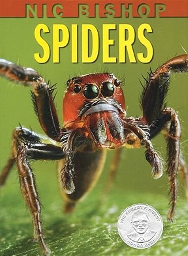 spiders (en Inglés)