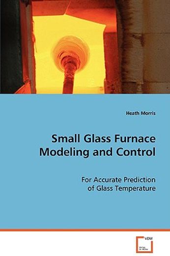 small glass furnace modeling and control