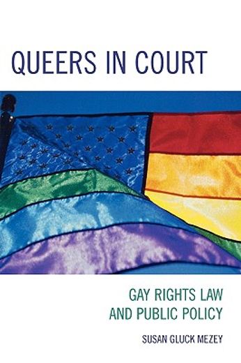 queers in court,gay rights law and public policy