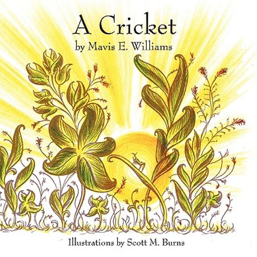 a cricket