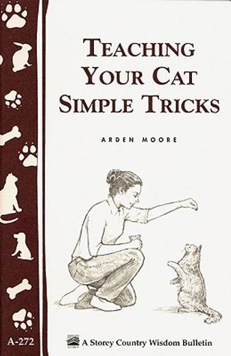 teaching your cat simple tricks