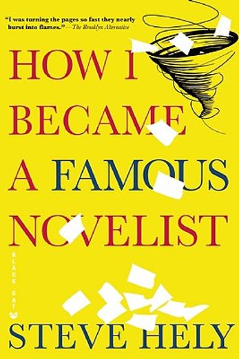 how i became a famous novelist (in English)