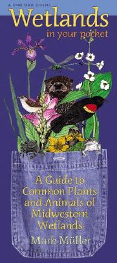 wetlands in your pocket,a guide to common plants and animals of midwestern wetlands