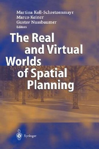 the real and virtual worlds of spatial planning