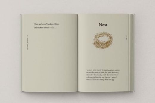 The Book of Birds: A Field Guide to Wonder and Loss