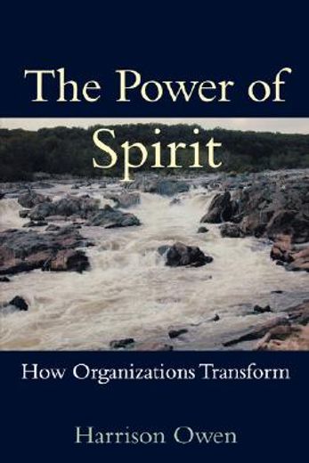 power of spirit,how organizations transform