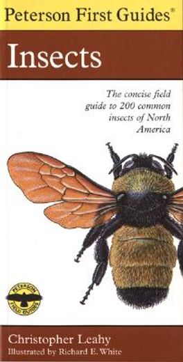 peterson first guide to insects of north america