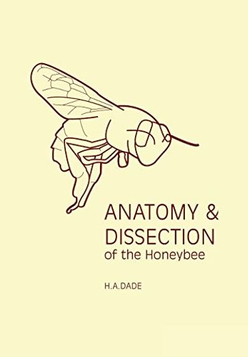 Anatomy and Dissection of the Honeybee (in English)