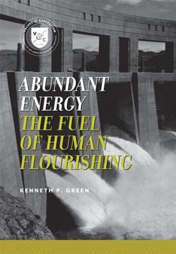 abundant energy,fuel of human flourishing