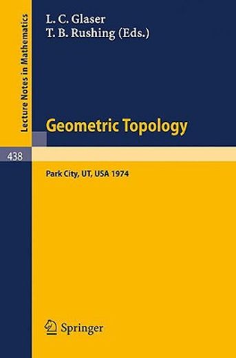 geometric topology (en Inglés)