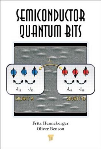 Semiconductor Quantum Bits (in English)