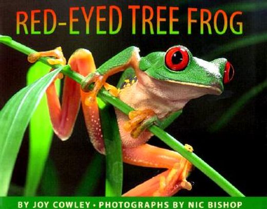 the red-eyed tree frog (en Inglés)
