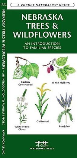 nebraska trees & wildflowers,an introduction to familiar species (in English)